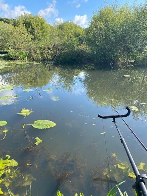 Willa Marsh Water Ponds Fishery Kidwelly Zewnętrze zdjęcie