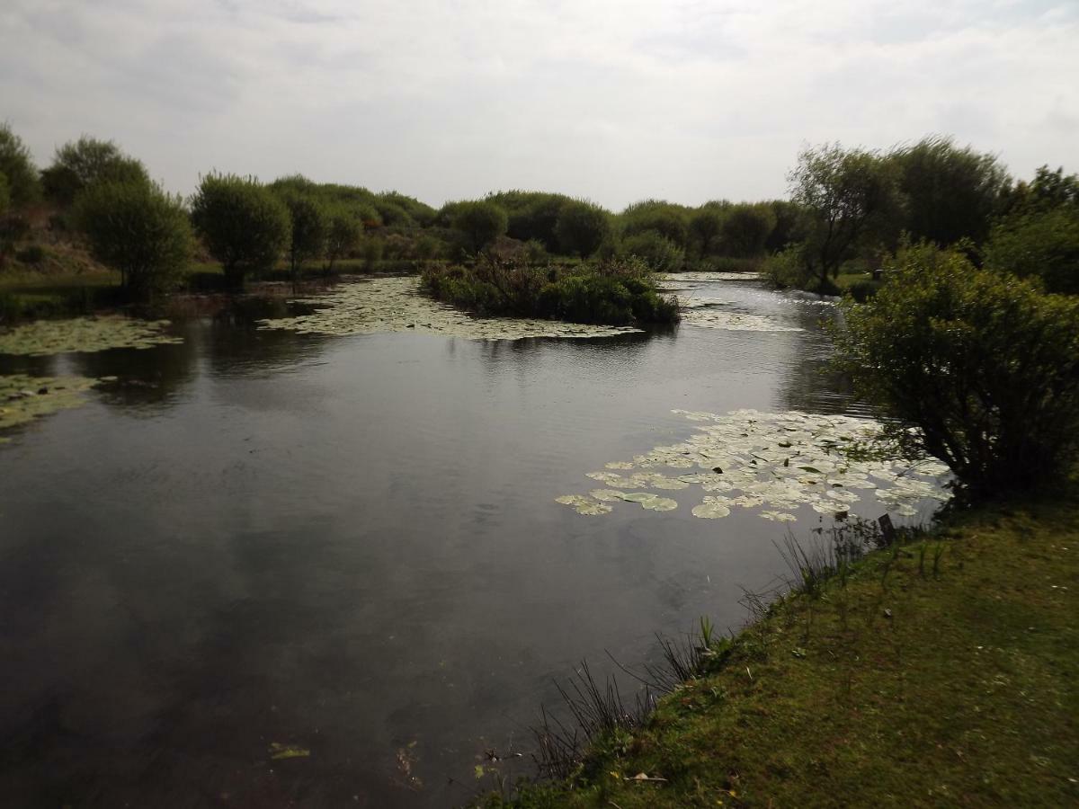Willa Marsh Water Ponds Fishery Kidwelly Zewnętrze zdjęcie