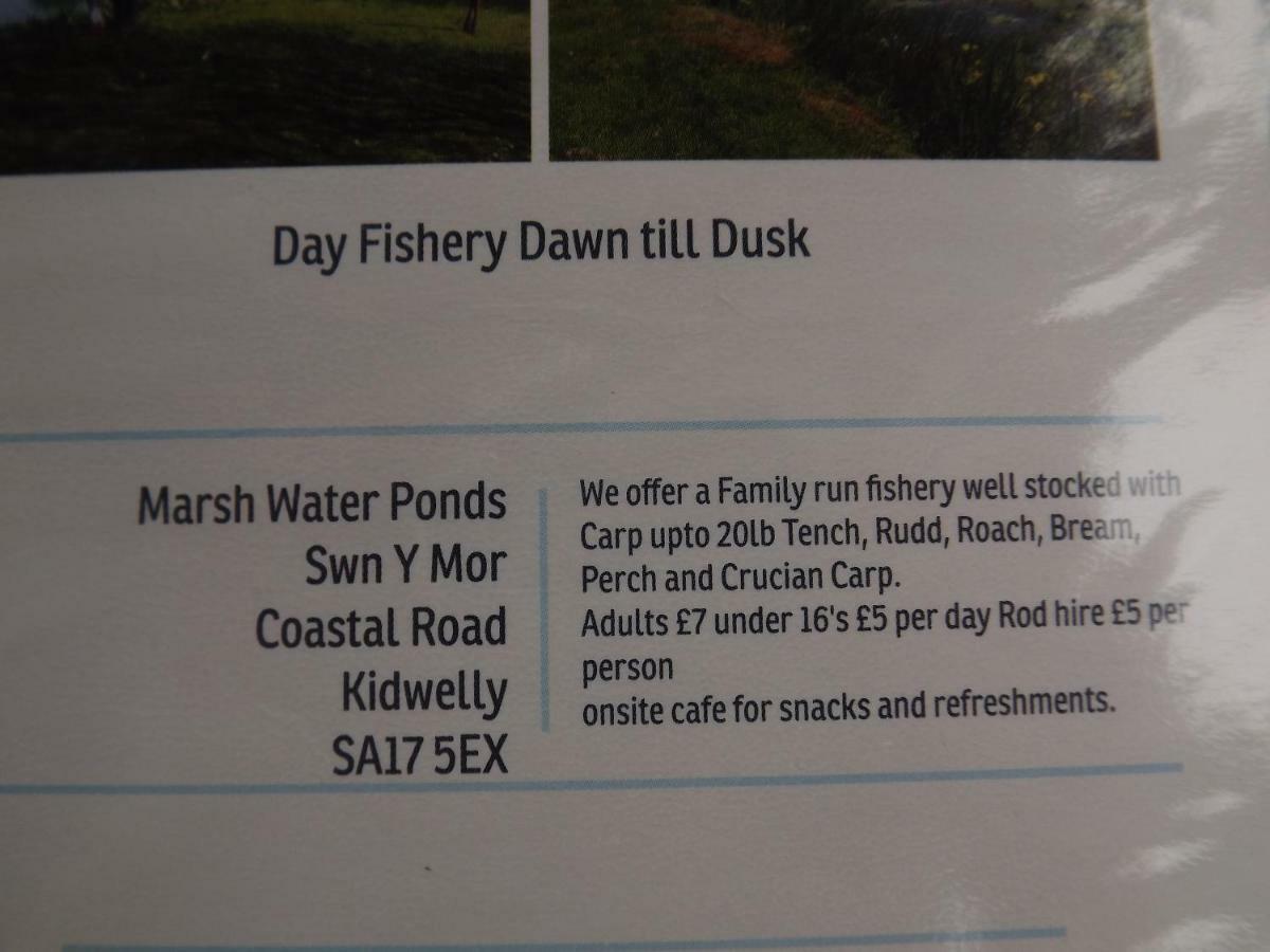 Willa Marsh Water Ponds Fishery Kidwelly Zewnętrze zdjęcie