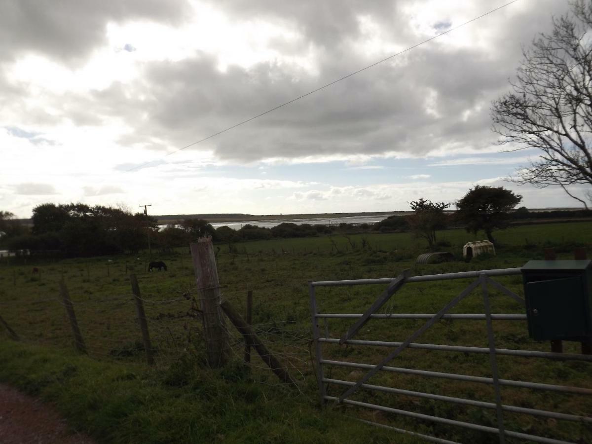 Willa Marsh Water Ponds Fishery Kidwelly Zewnętrze zdjęcie