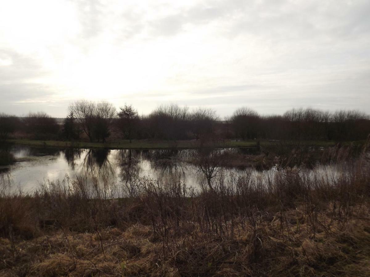 Willa Marsh Water Ponds Fishery Kidwelly Zewnętrze zdjęcie