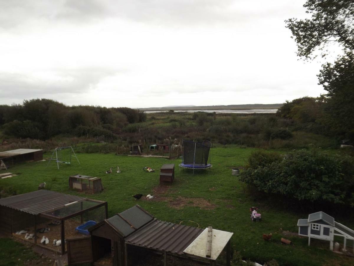 Willa Marsh Water Ponds Fishery Kidwelly Zewnętrze zdjęcie