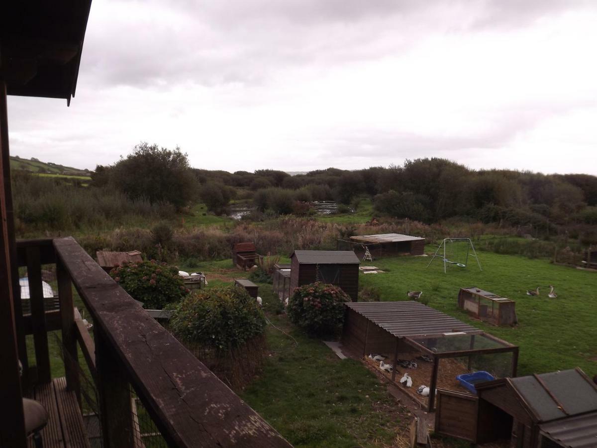 Willa Marsh Water Ponds Fishery Kidwelly Zewnętrze zdjęcie